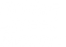 Bridge Street Motors